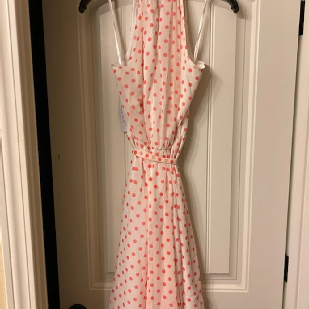 Eva Mendez dress - Picture 4 of 4